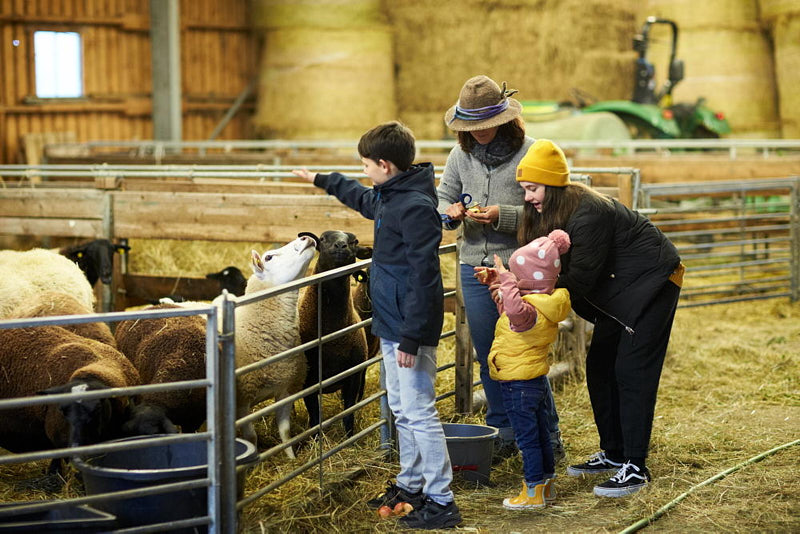 Schafpatenschaften, Kinder im Schafstall mit der Sch&auml;ferin Sabine Kr&uuml;ger, streicheln und f&uuml;ttern Schafe.