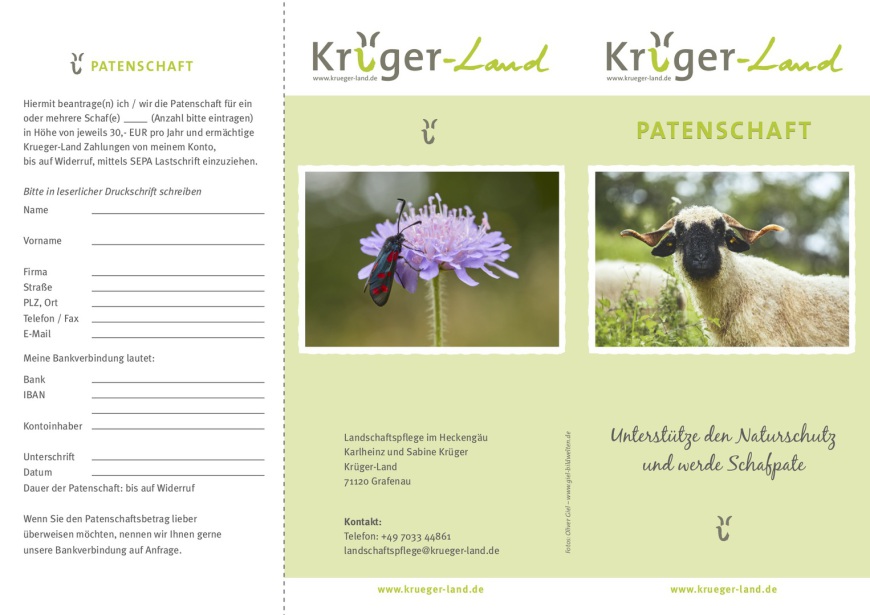 Flyer f&uuml;r Schafpatenschaft Kr&uuml;ger-Land mit Anmeldeformular, Foto einer Biene auf Bl&uuml;te und einer Landschafrasse, Heckeng&auml;u, Sabine Kr&uuml;ger